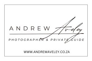 Andrew Aveley